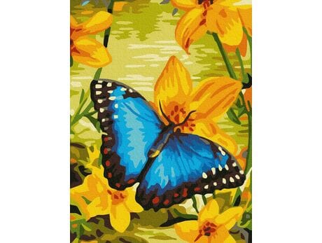 Błękitny motyl malowanie po numerach
