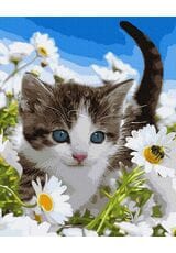 Kotek w polu rumianków