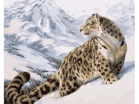 Pantera Śnieżna - Irbis 50x65cm malowanie po numerach