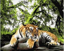 Lord of the jungle
