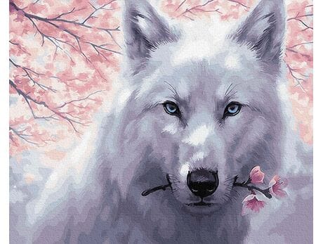 Biały wilk 40x50cm malowanie po numerach