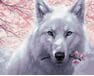 Biały wilk 40x50cm malowanie po numerach
