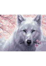 Biały wilk 50x65cm