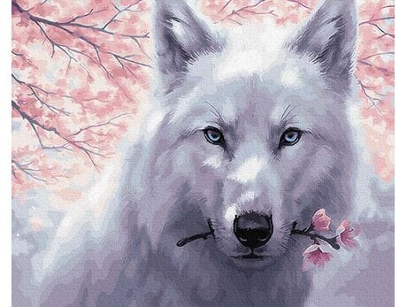 Biały wilk malowanie po numerach