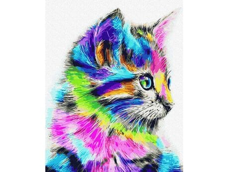 Kot holo 40x50cm malowanie po numerach