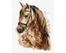 Piękny koń 40x50cm malowanie po numerach