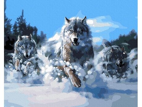 Waleczne wilki malowanie po numerach