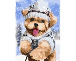 Terrier w śniegu