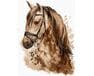 Piękny koń 30x40cm malowanie po numerach