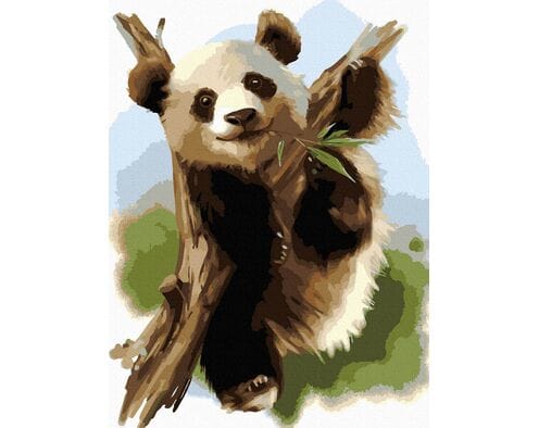 Niedźwiadek bambusowy