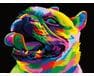 Tęczowy Bulldog malowanie po numerach