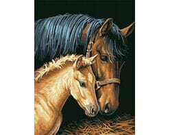 Macierzyńska troska 30x40cm