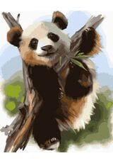 Niedźwiadek bambusowy