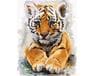 Słodkie tygrysiątko 40x50cm malowanie po numerach