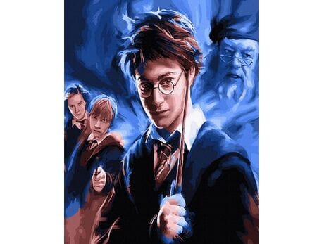 Harry Potter malowanie po numerach