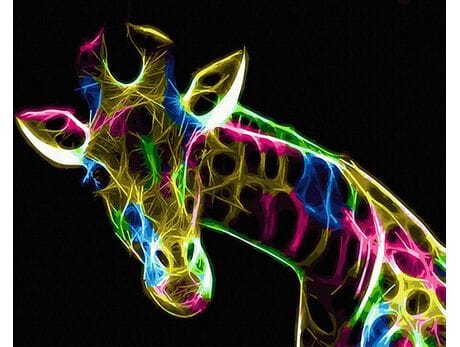 Neonowa żyrafa malowanie po numerach