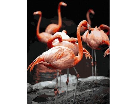 Flamingi malowanie po numerach