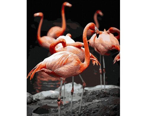 Flamingi