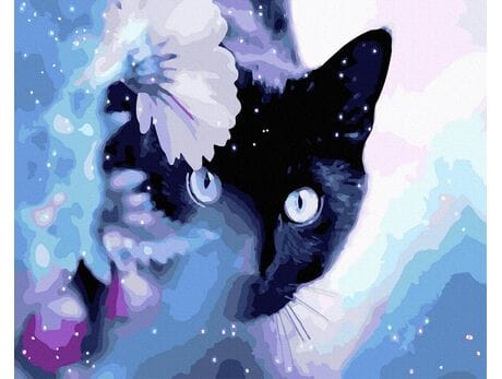 Ciekawski czarny kot malowanie po numerach