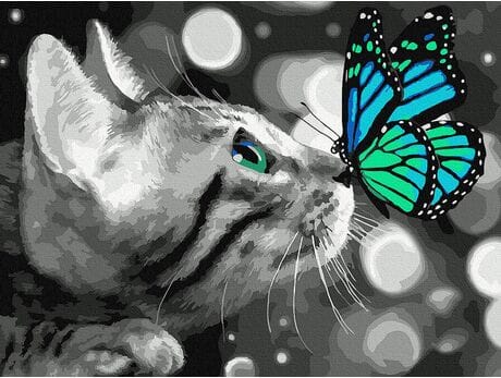 Kotek z motylkiem 30x40 cm malowanie po numerach