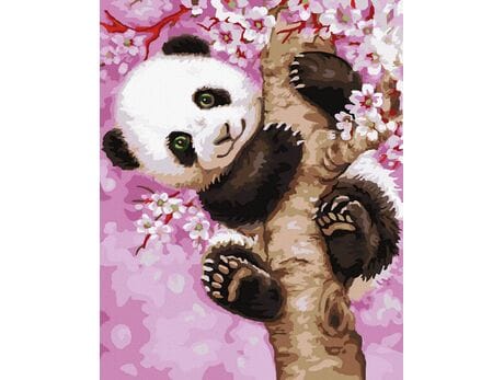 Słodka Panda 40x50 cm malowanie po numerach