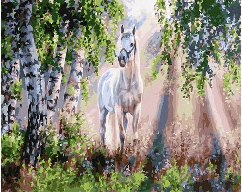 Leśne objawienie 40x50 cm