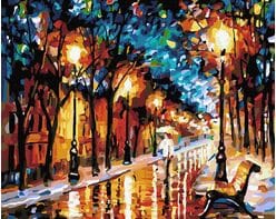 Park Miejski w Nocy 40cm*50cm (bez ramy)