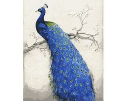 Paw 40cm*50cm (bez ramy)
