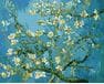 Kwitnące Migdały, Van Gogh 40cm*50cm (bez ramy) malowanie po numerach
