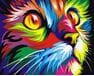 Tęczowy kot 40cm*50cm (bez ramy) malowanie po numerach
