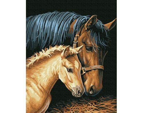 Macierzyńska troska 40cm*50cm (bez ramy)