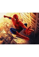Spiderman 40cm*50cm (bez ramy)