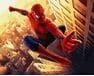 Spiderman 40cm*50cm (bez ramy) malowanie po numerach