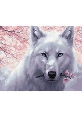 Biały wilk 40cm*50cm (bez ramy)