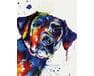 Kolorowy pies 40cm*50cm (bez ramy) malowanie po numerach