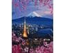 Fujiyama i Sakura 40cm*50cm (bez ramy) malowanie po numerach