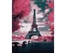 Miłosne odcienie Paryża 40x50 cm malowanie po numerach
