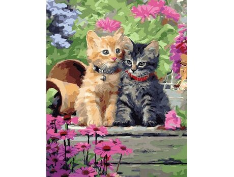 Kotki w miłym uścisku 40x50 cm malowanie po numerach