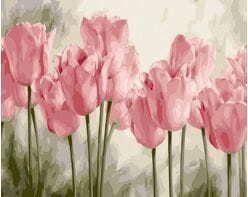 Różowe tulipany 50x65cm