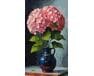 Różowa elegancja 40x70 cm malowanie po numerach