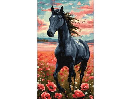Wolny Duch 40x70 cm malowanie po numerach