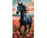 Wolny Duch 40x70 cm malowanie po numerach