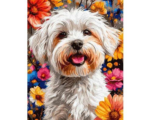 Łapka wśród Płatków 40x50 cm