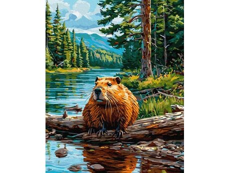 Legendarny Bóbr 40x50 cm malowanie po numerach