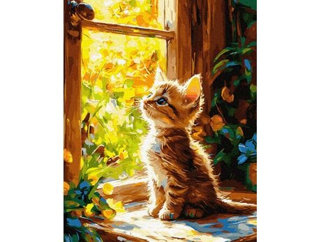 Okno na koci świat 40x50 cm malowanie po numerach
