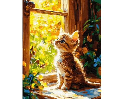 Okno na koci świat 40x50 cm