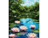 Lotosowy sen nad wodą 40x50 cm malowanie po numerach