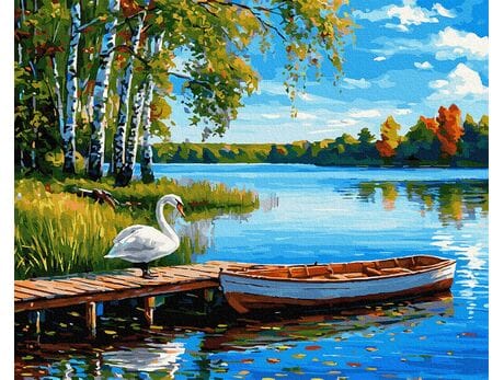 Echo białych skrzydeł 40x50 cm malowanie po numerach