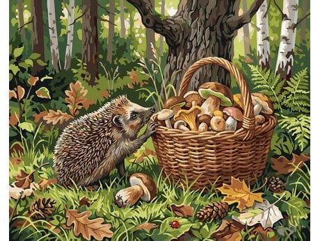 Ciekawski jeż 40x50 cm malowanie po numerach