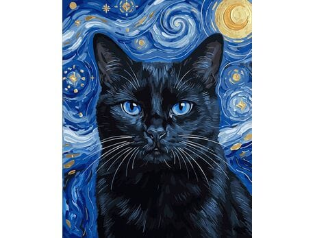 Oświetlony gwiaździstą nocą Van Gogh 40x50 cm malowanie po numerach